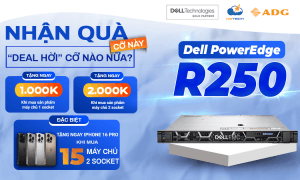 Máy chủ Dell PowerEdge R250