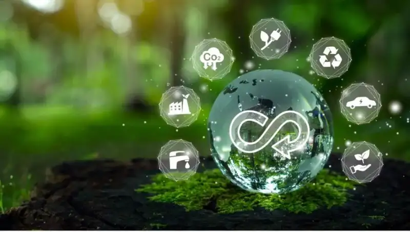 Chiến Lược Của Dell Và HPE Trong Cuộc Đua Server AI Toàn Cầu